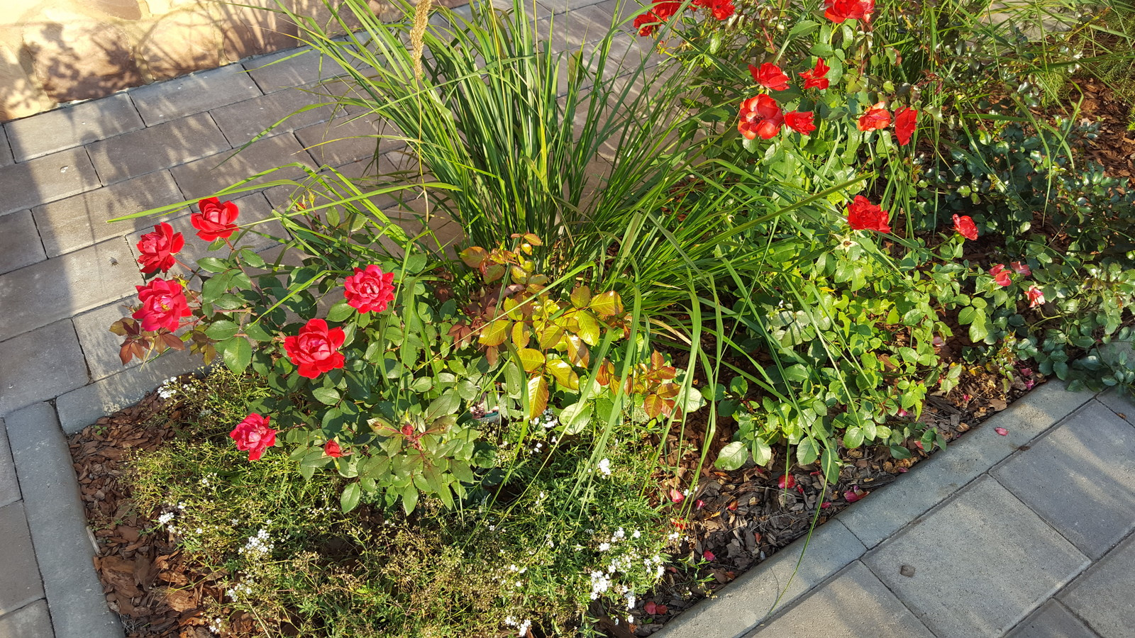 Оформление