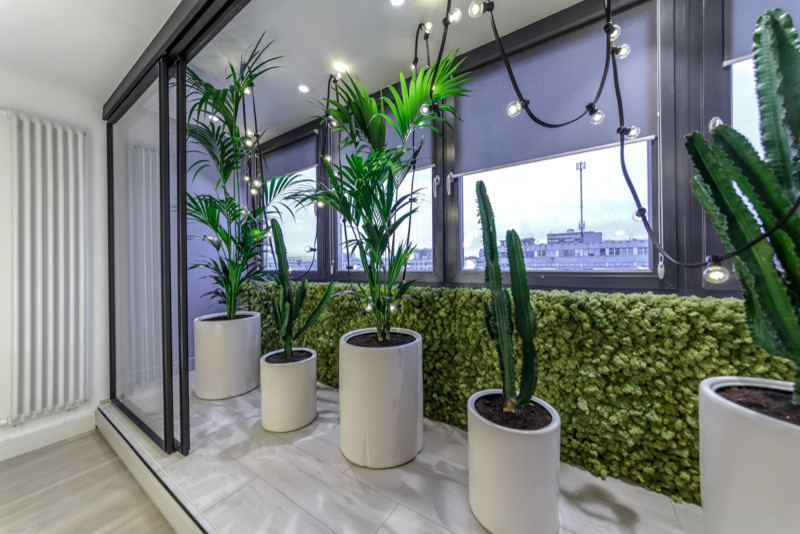 Фазенда_Новогоднее латино_М. Ватолина