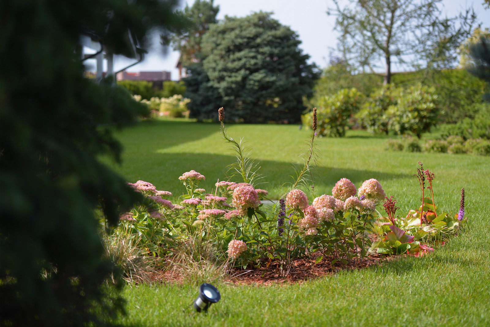 КП Снегири "Сад в пейзажном стиле" 50 соток