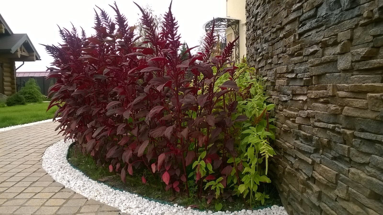 Усадьба на Новой Риге