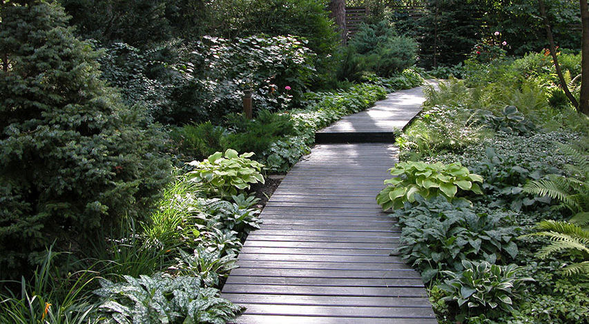 поселок Южный, дорожка из деревянных деков