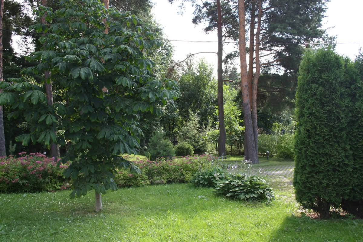 Лисий Нос 1