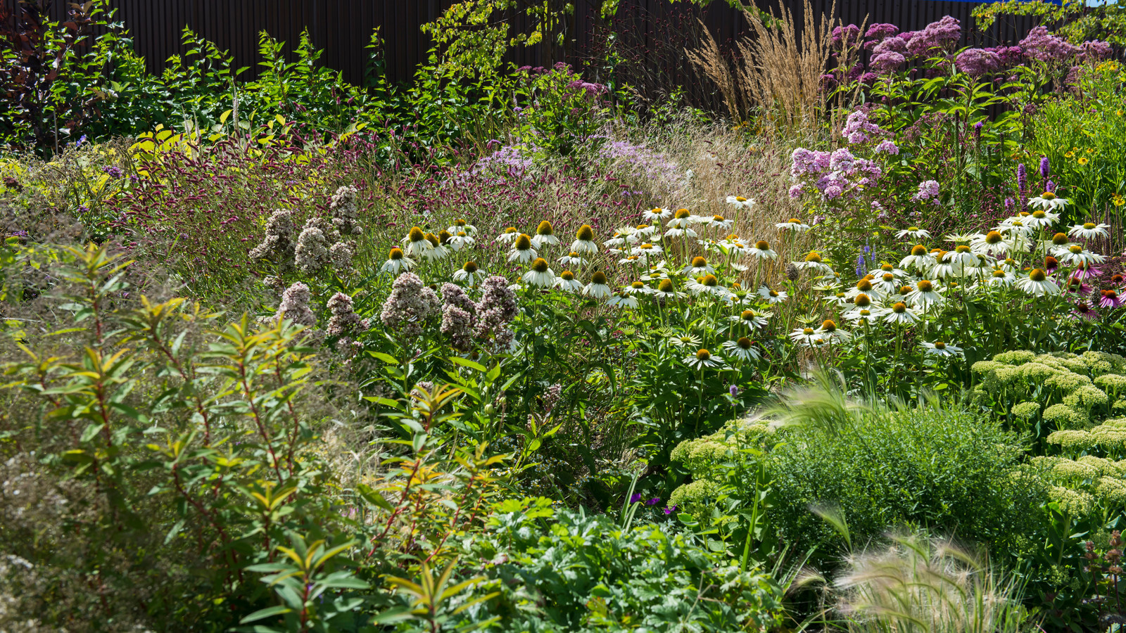 Цветник в  природном стиле  (" New Perennials"  или "Новая волна")