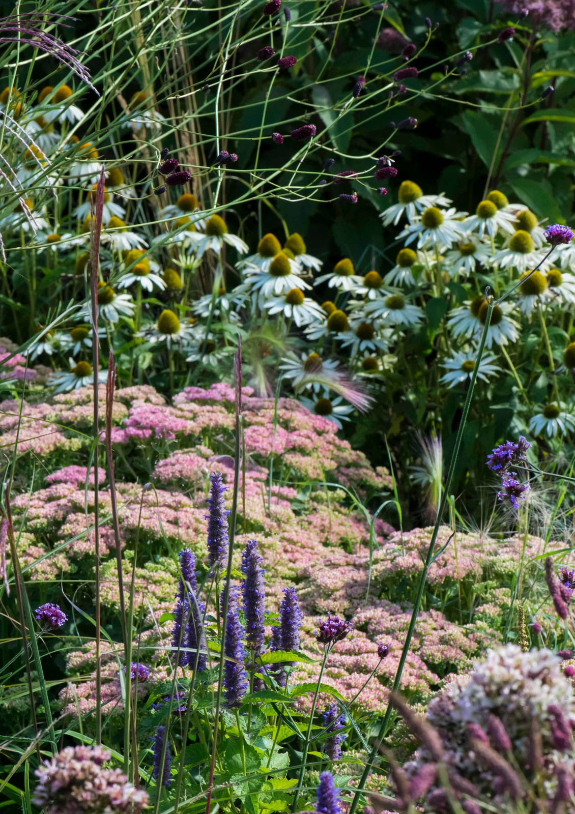 Большой сад в пригороде