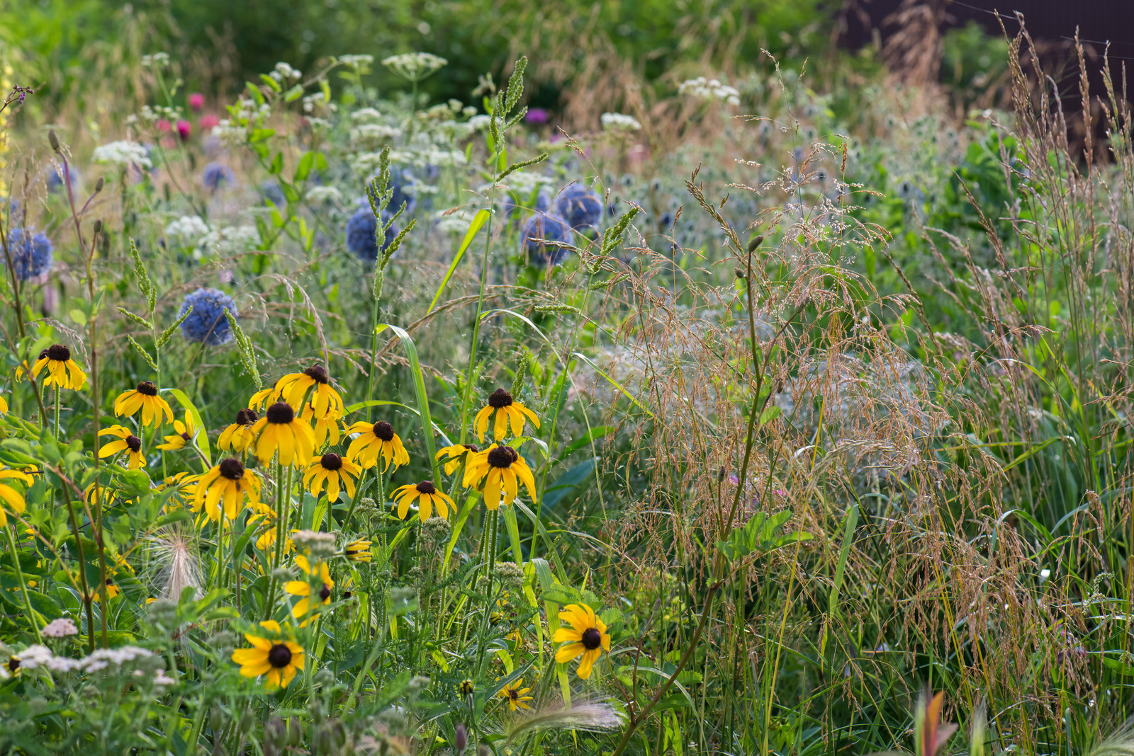 Обложка альбома: Идеи пользователя Марат