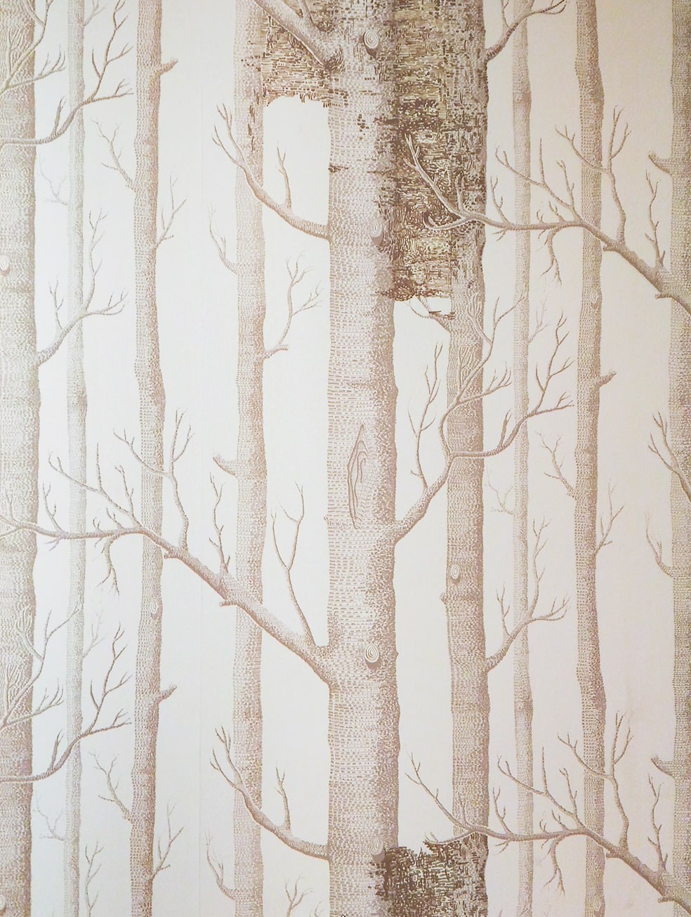 Роспись по бумажным обоям