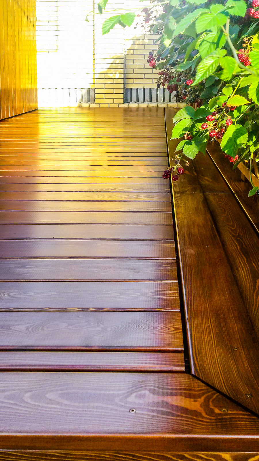 Обложка проекта: терраса 3