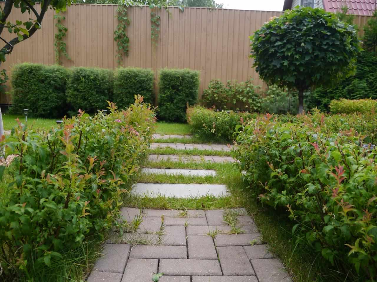 Дворик на 2-х сотках