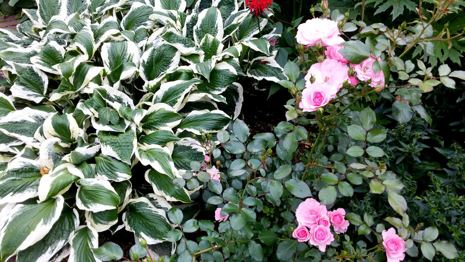 Фактурные сочетания