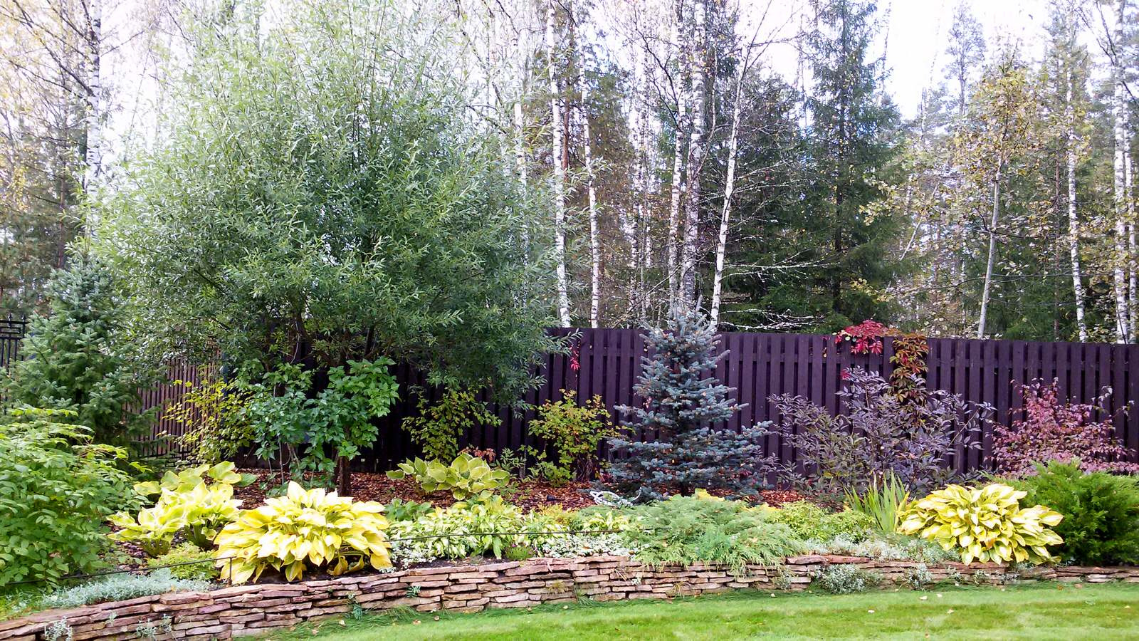 Древесно-кустарниковая композиция одностороннего обзора осенью