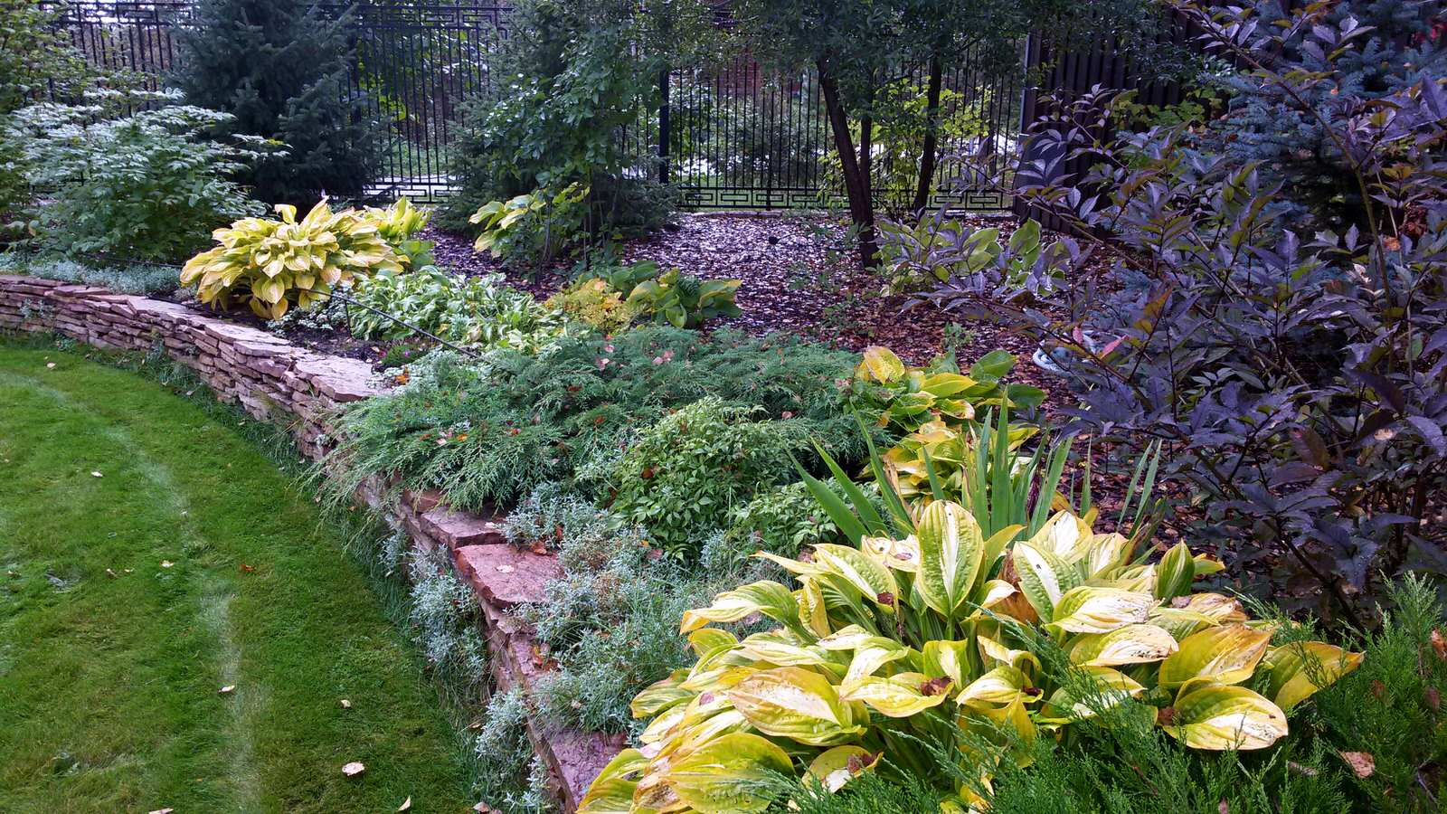 Солнечный акцент в осеннем саду