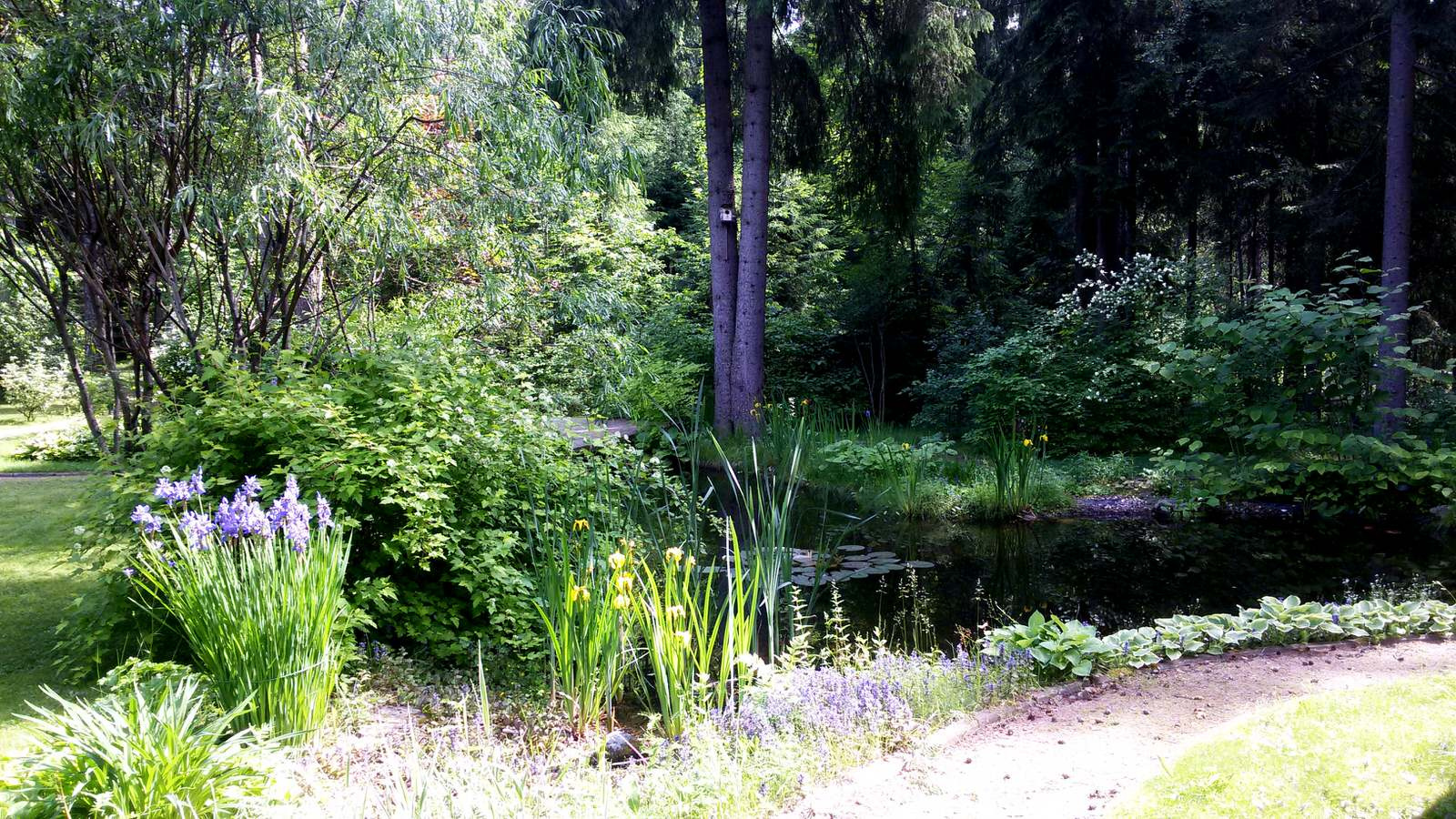 Пруд с кувшинками в пейзажном стиле