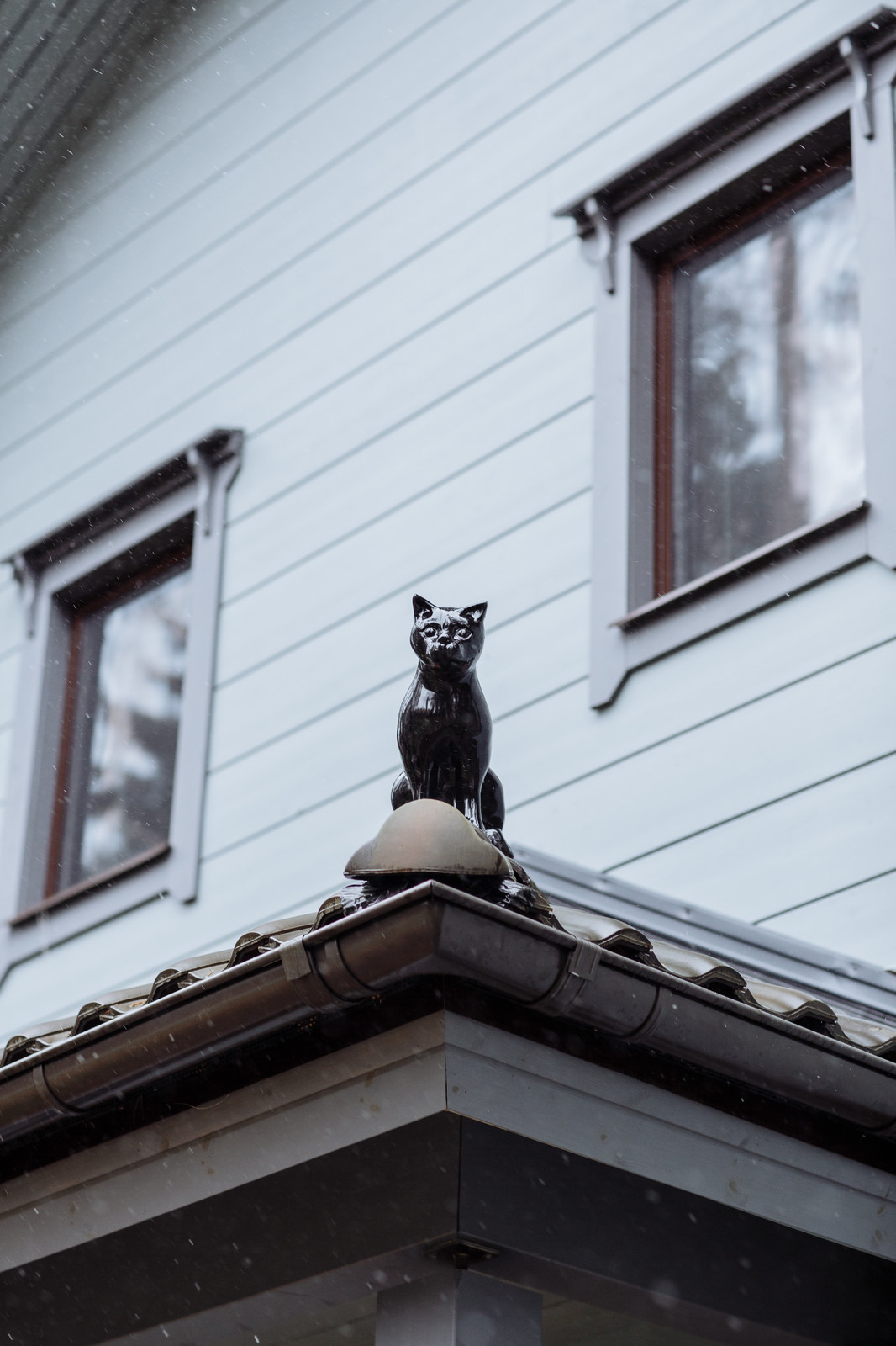 Домовладение в Рощино