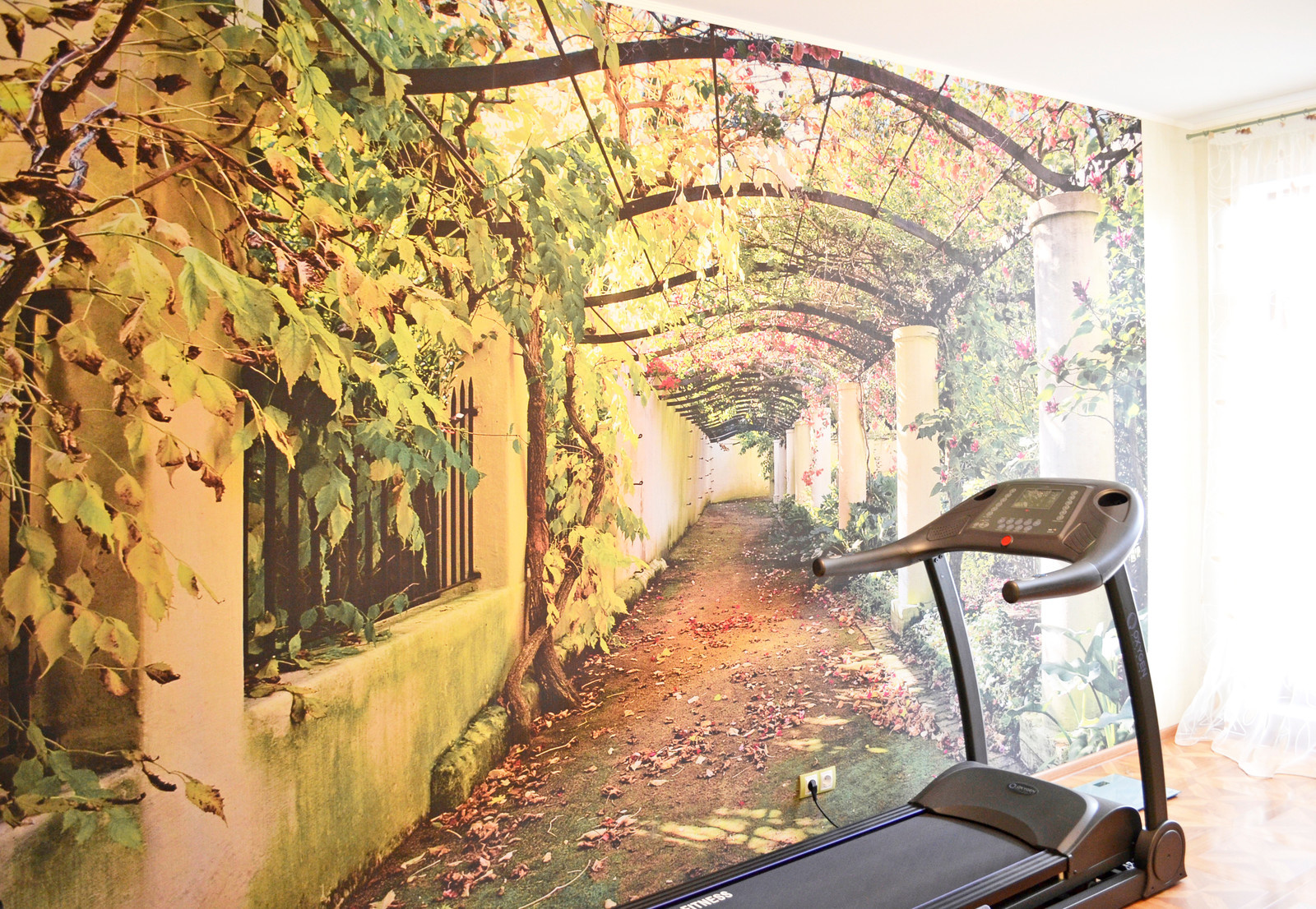 Фотообои в тренажерной комнате