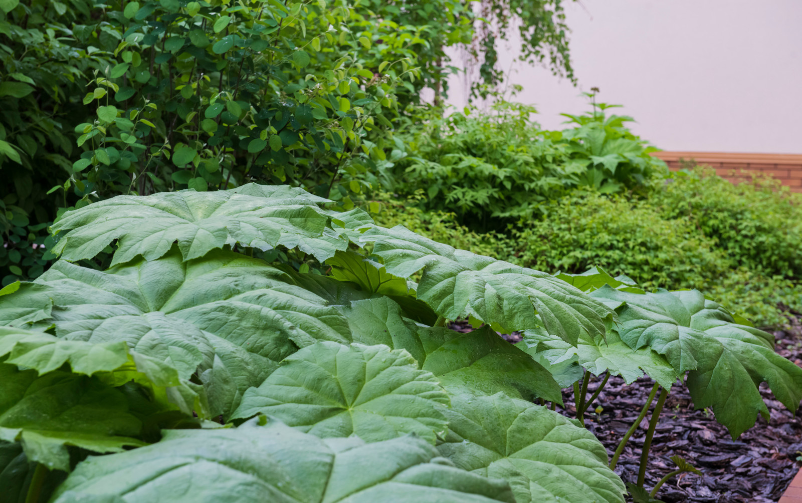 Большой сад в пригороде