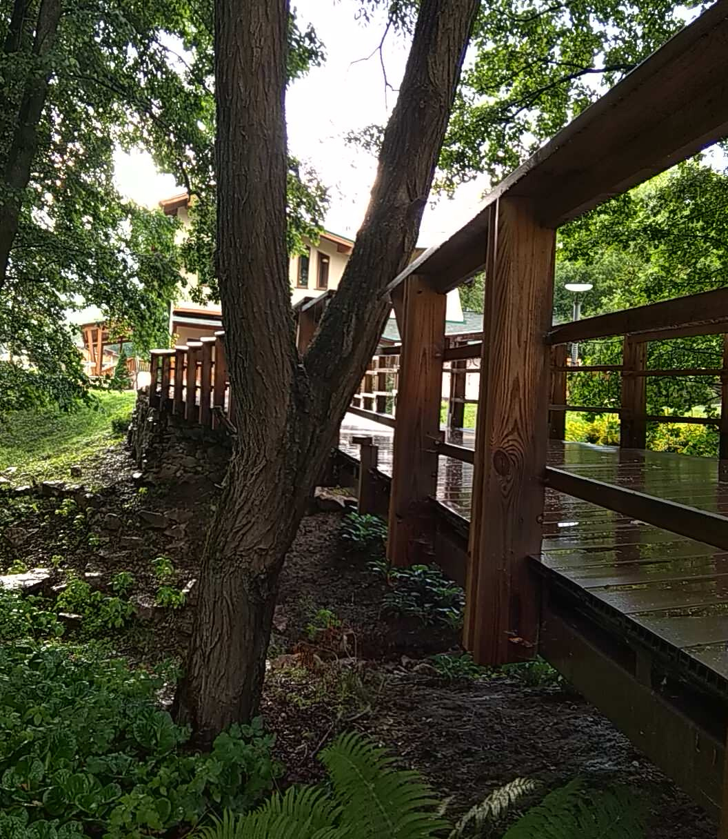 Garden bridge      Садовый мост