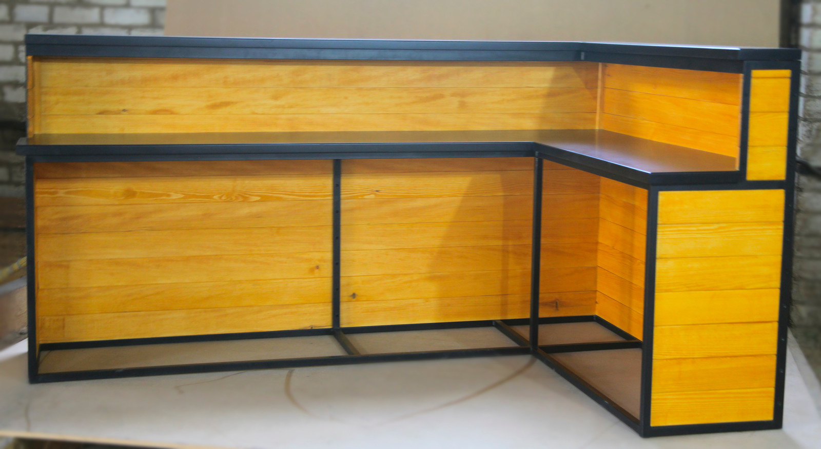 Михаил Бакарягин