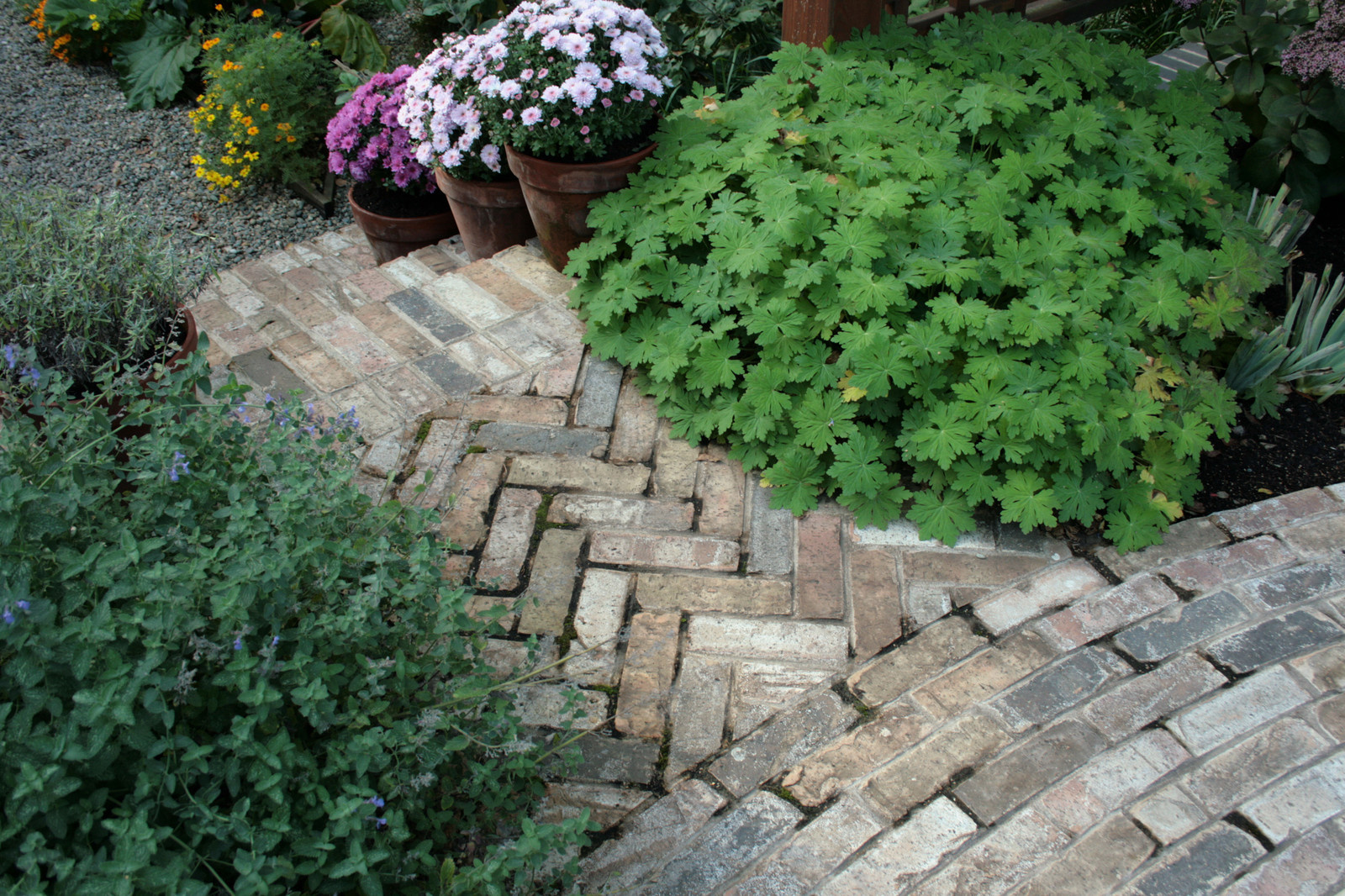 Обложка альбома: сад