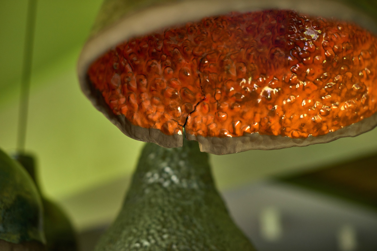 Возврат к истокам