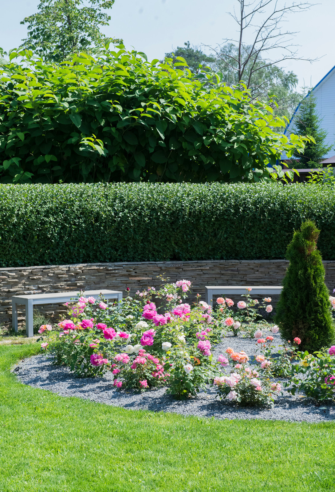 Маленький сад в пригороде