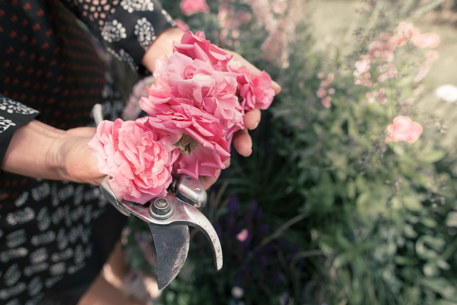 Обложка альбома: Идеи пользователя sosunovg