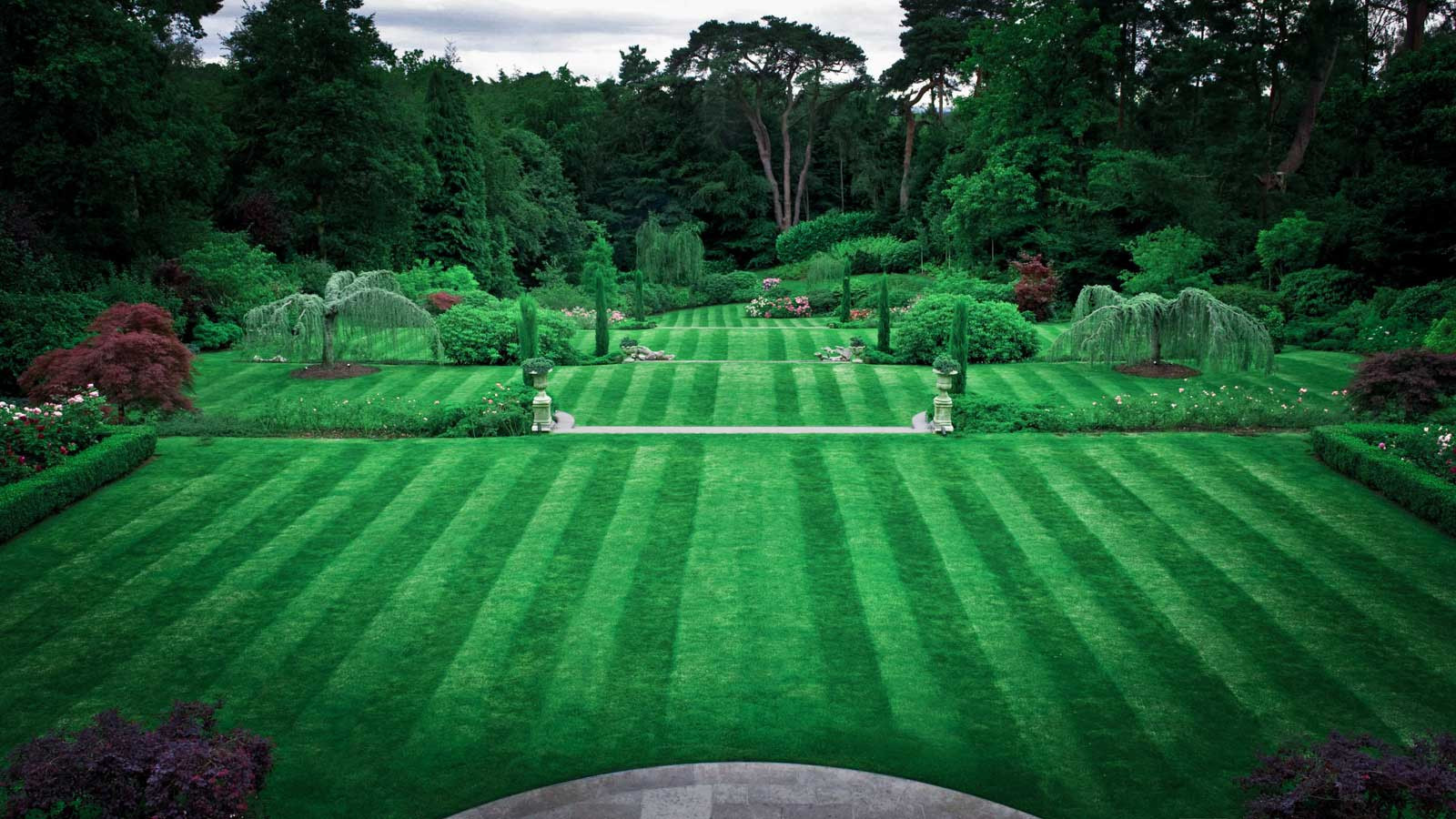 Суррей Времена Года