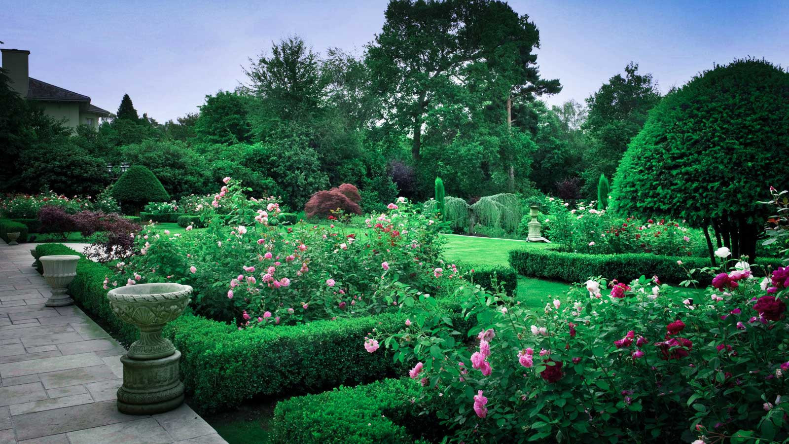 Суррей Времена Года