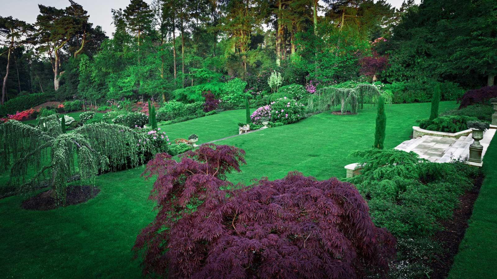 Суррей Времена Года