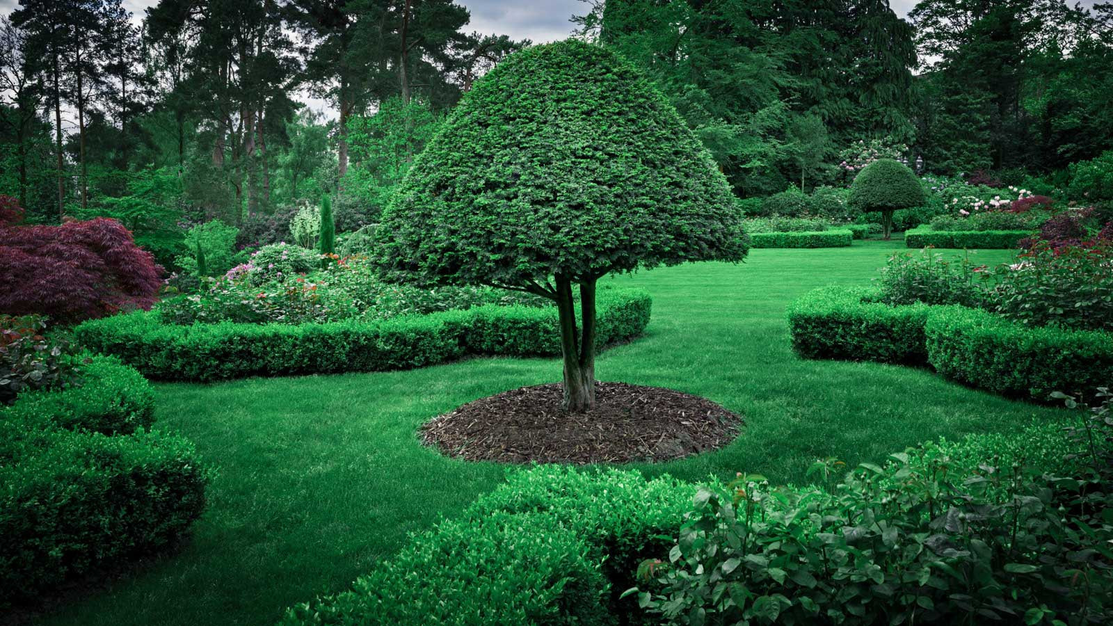 Суррей Времена Года