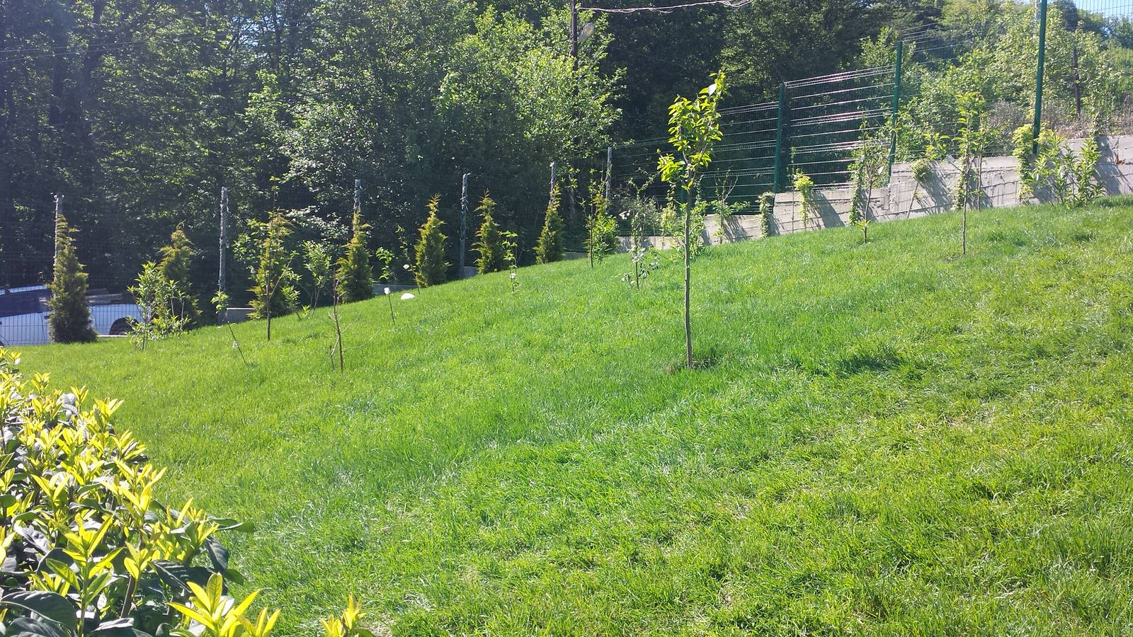 Благоуствойство частного домовладения