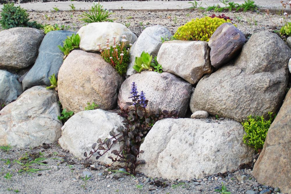 Обложка проекта: Стенки