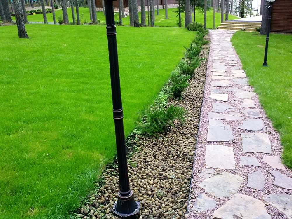 Мульчирование