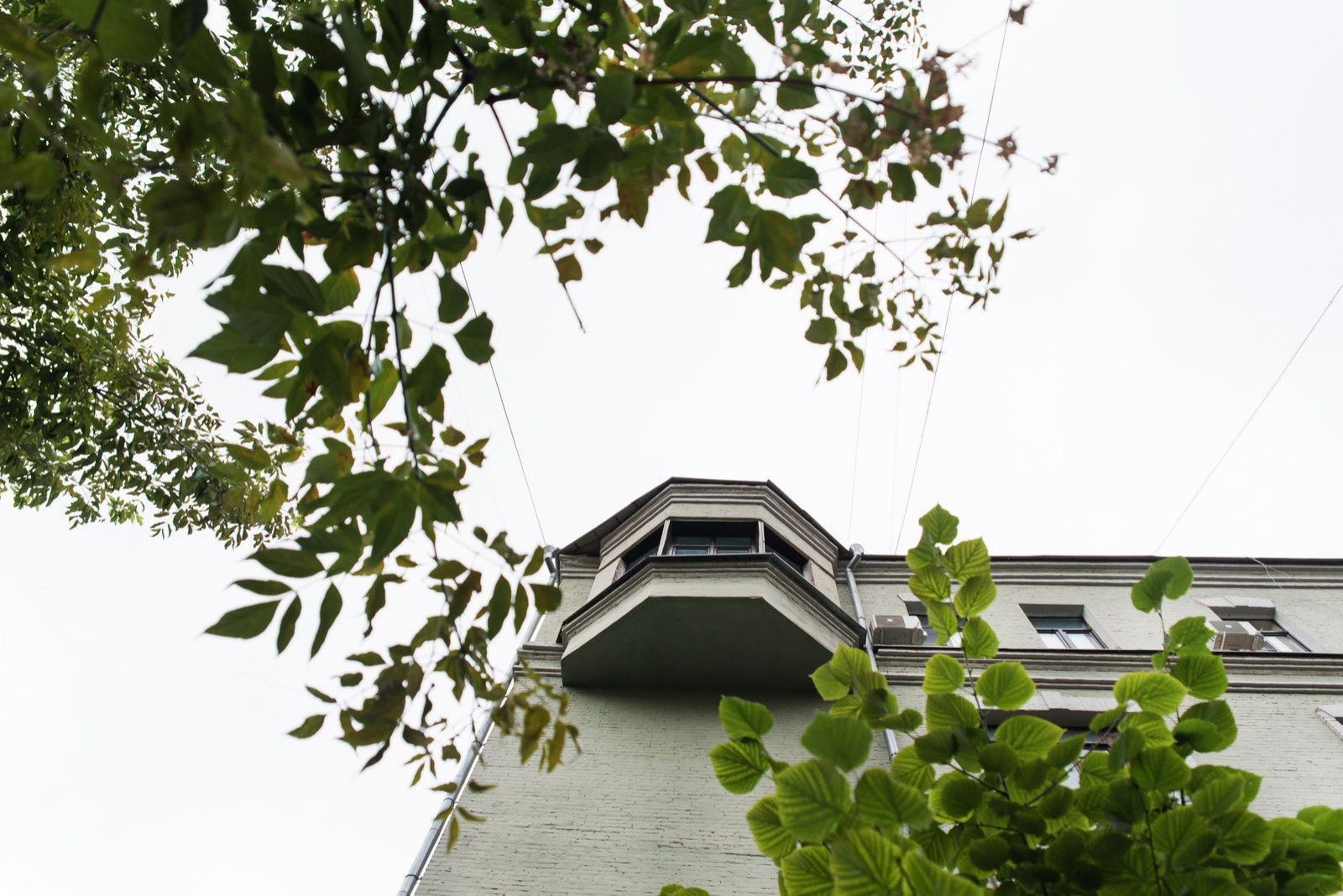 Обложка проекта: Жизнь в «Сделано» — пятикомнатная квартира на Арбате