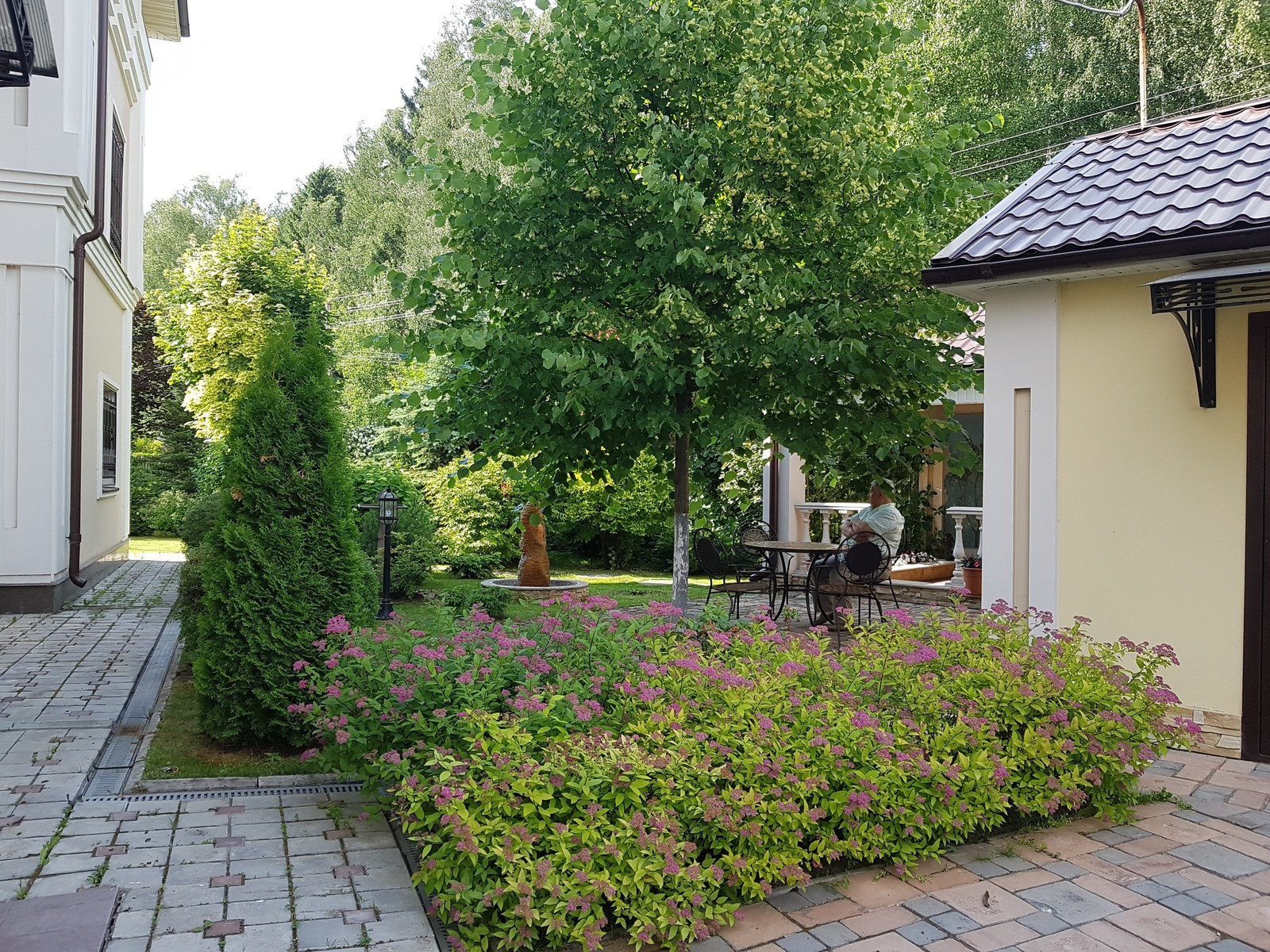 Патио в тени липы