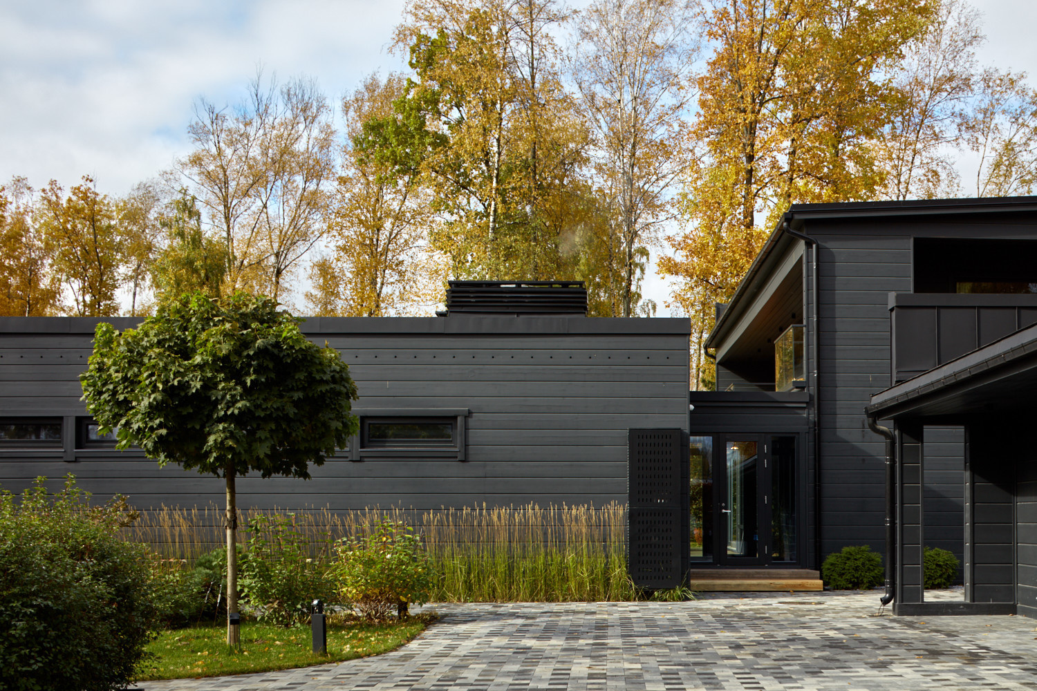 Обложка альбома: Санузел