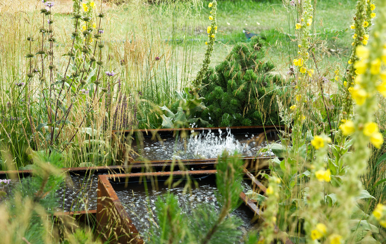 Сад   James Alexander-Sinclair  на Moscow Flower Show 2018  (вне  конкрса)
