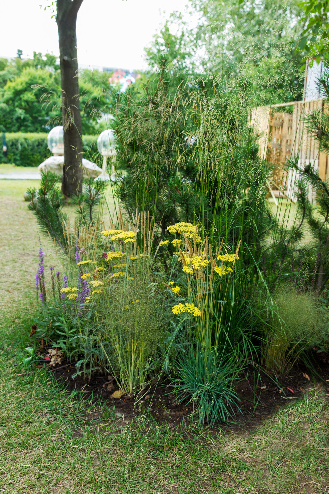 Сад   James Alexander-Sinclair  на Moscow Flower Show 2018  (вне  конкрса)