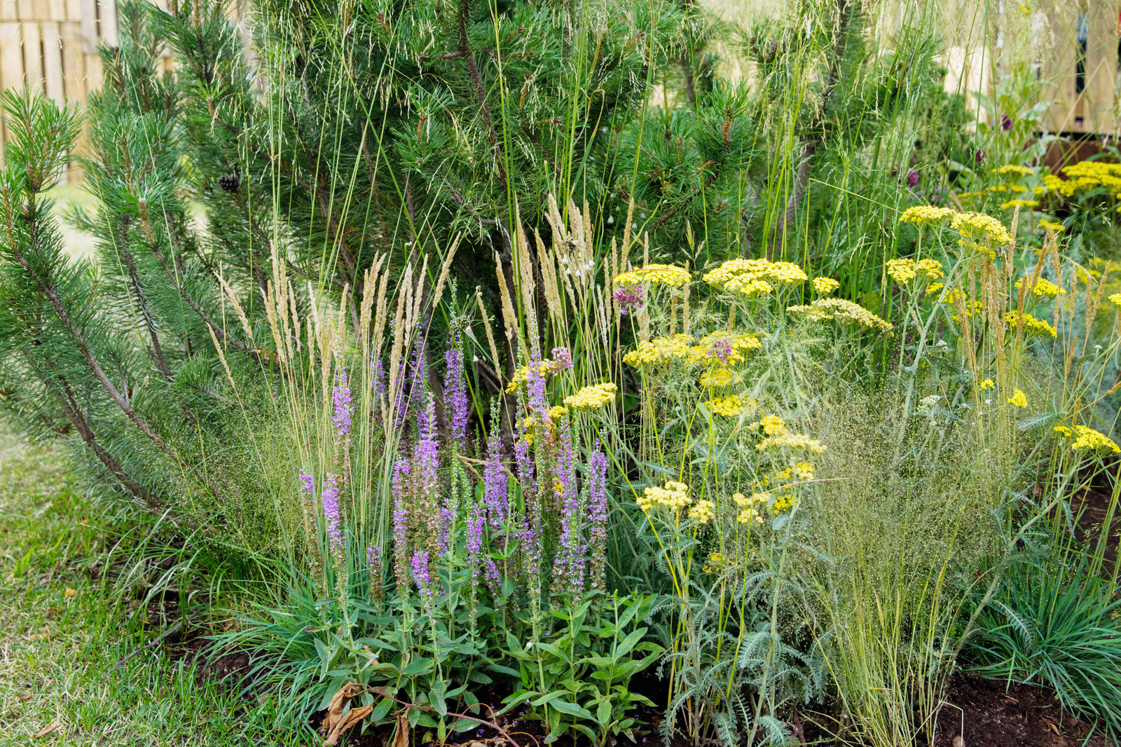 Сад   James Alexander-Sinclair  на Moscow Flower Show 2018  (вне  конкрса)