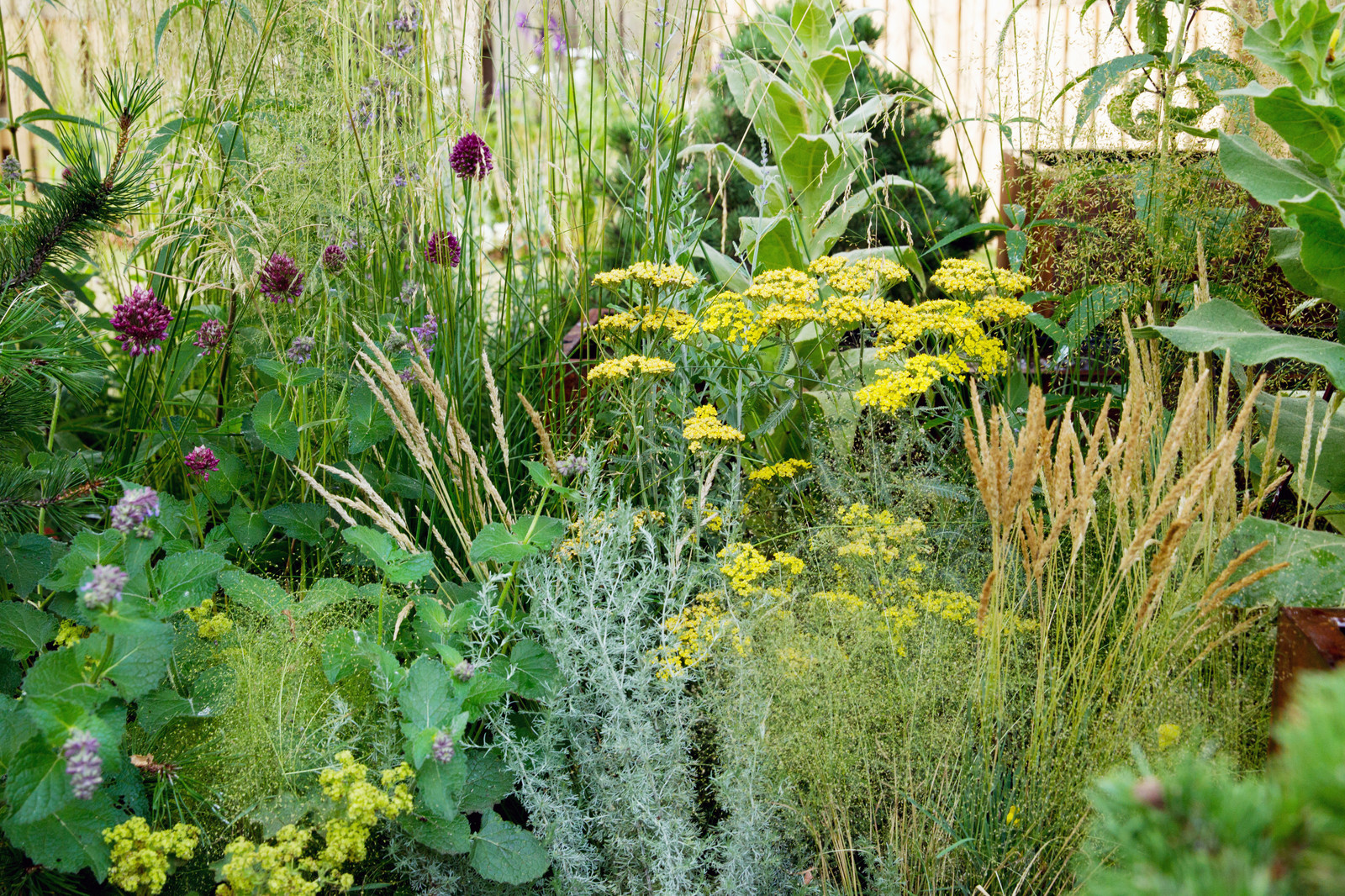 Сад   James Alexander-Sinclair  на Moscow Flower Show 2018  (вне  конкрса)