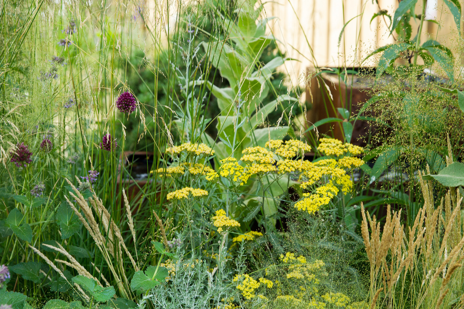 Сад   James Alexander-Sinclair  на Moscow Flower Show 2018  (вне  конкрса)