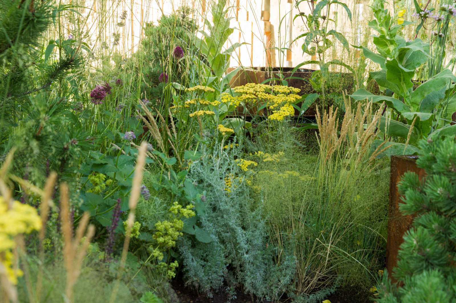 Сад   James Alexander-Sinclair  на Moscow Flower Show 2018  (вне  конкрса)