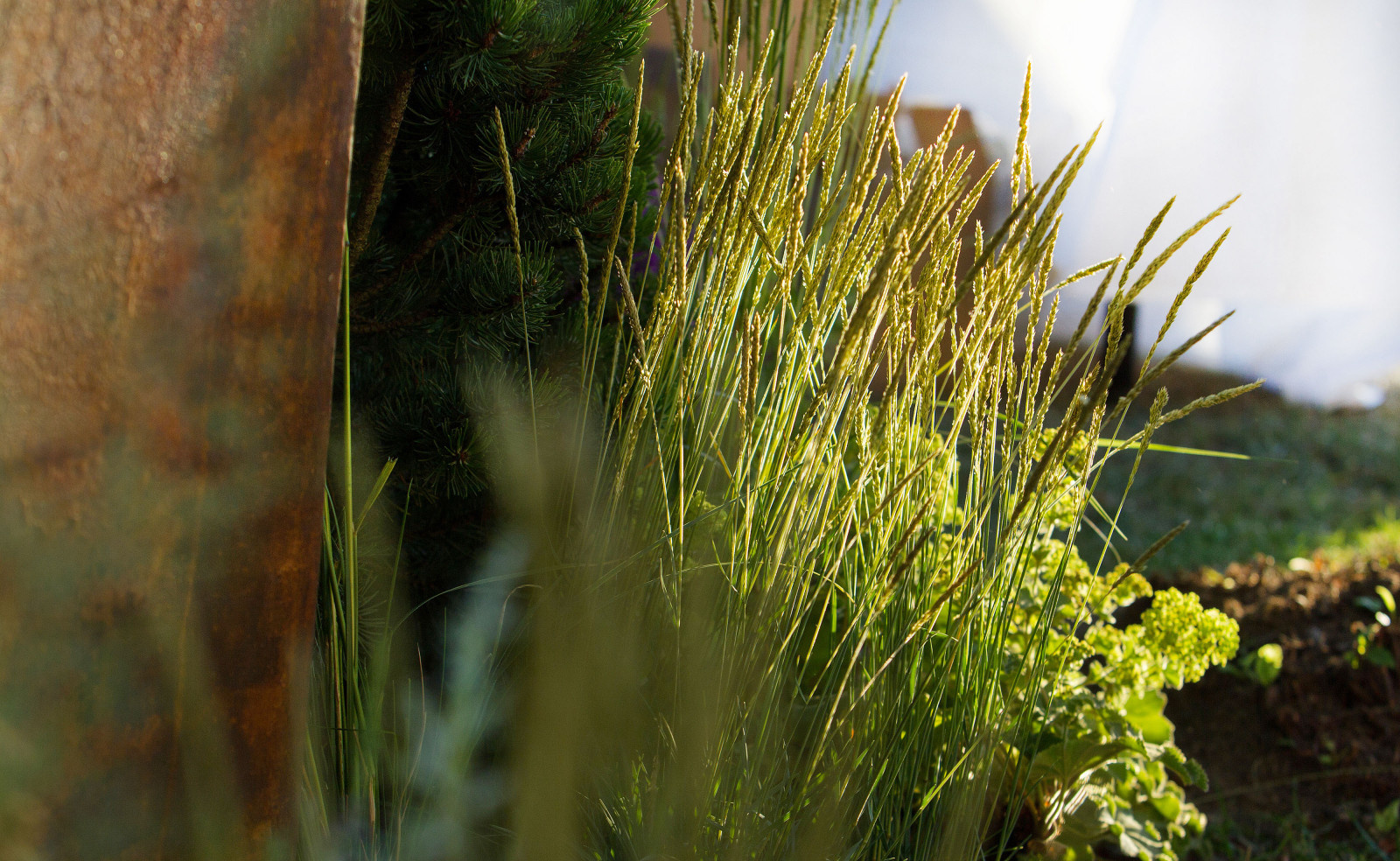 Сад   James Alexander-Sinclair  на Moscow Flower Show 2018  (вне  конкрса)