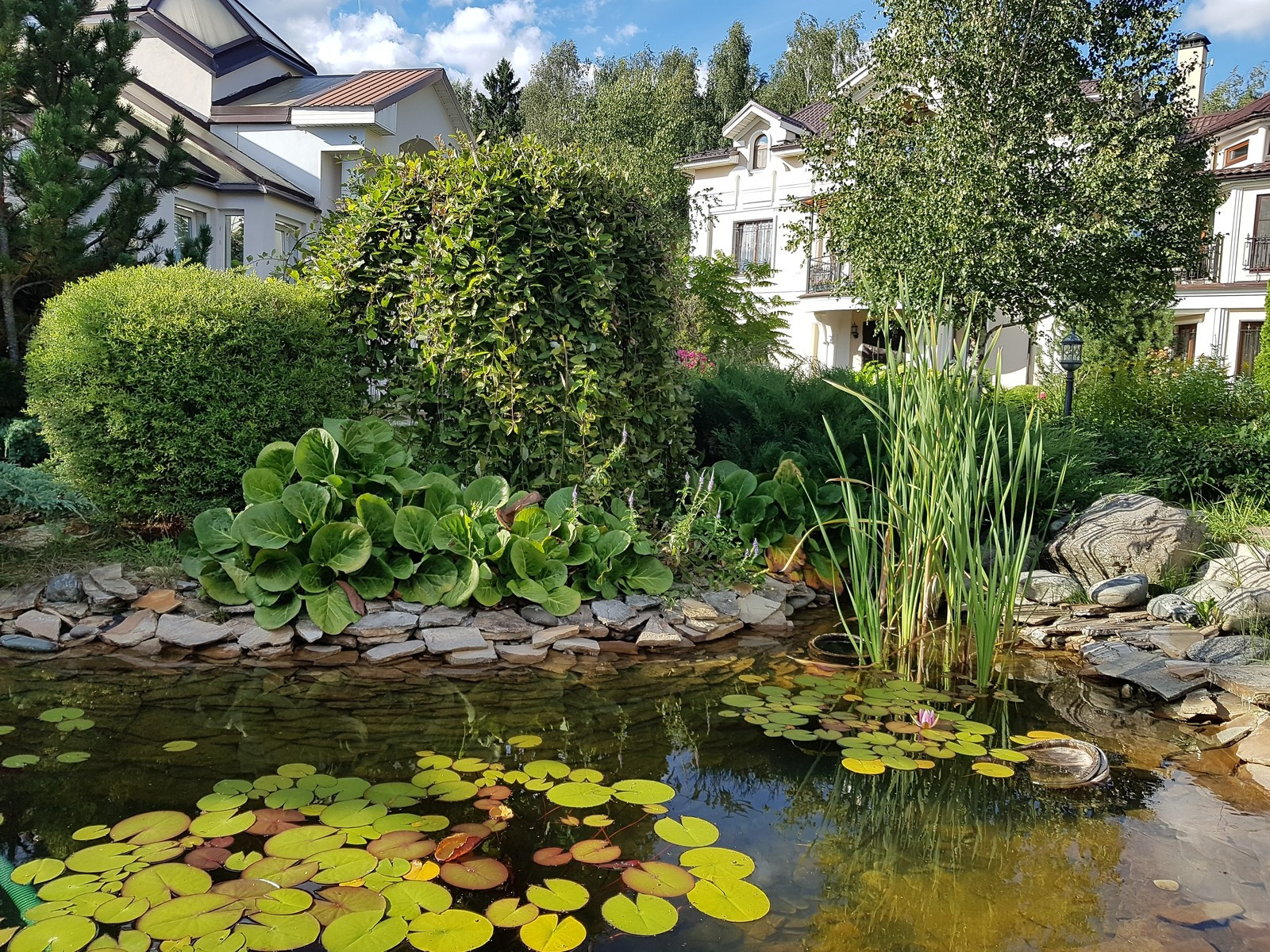 Рыбаки