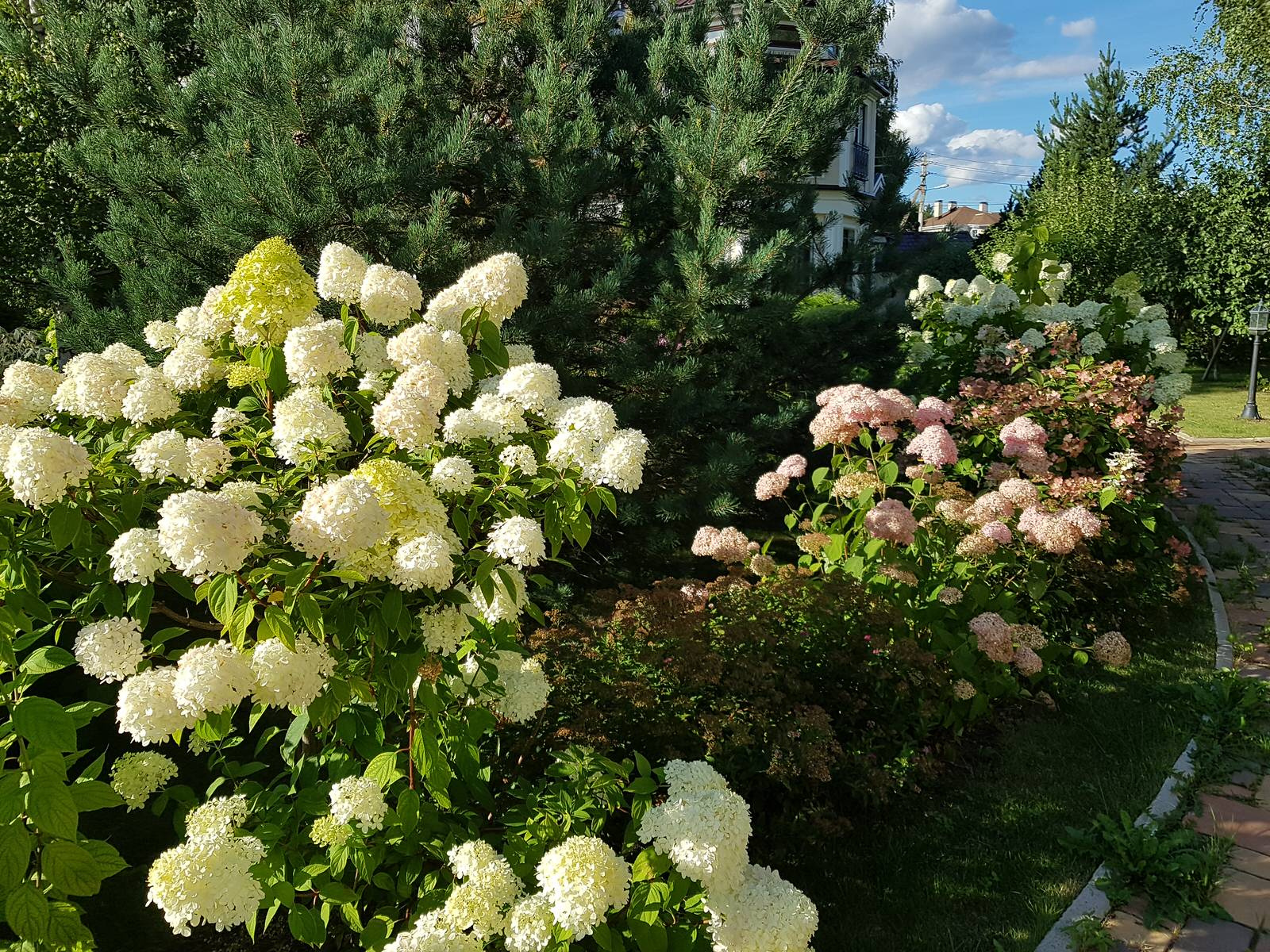 Рыбаки