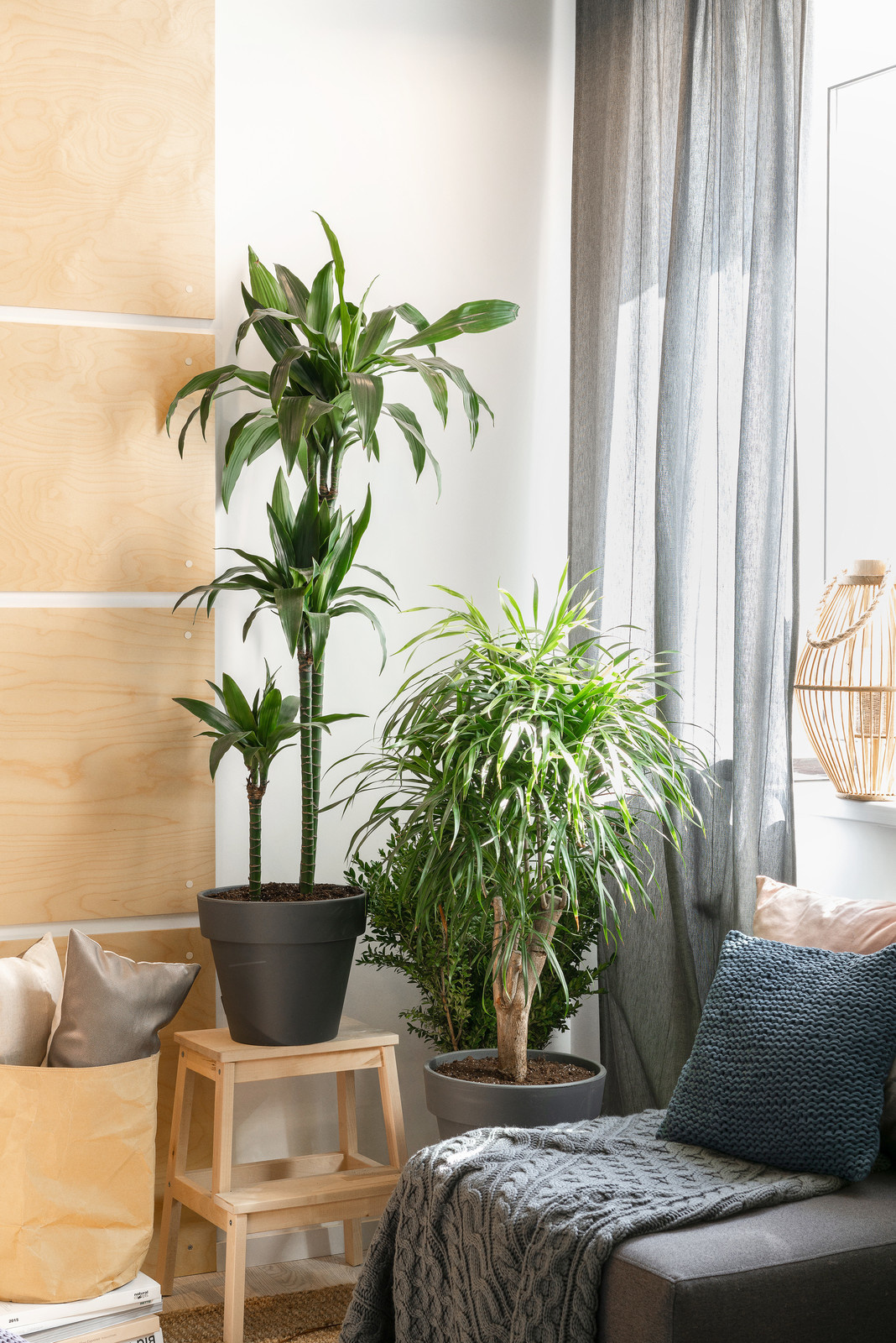 Houzz тур: 45 кв.м — хюгге в Ростове-на-Дону