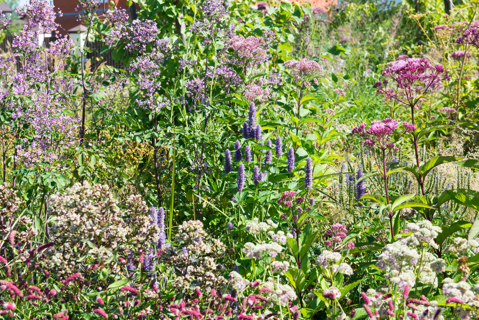 Большой сад в пригороде