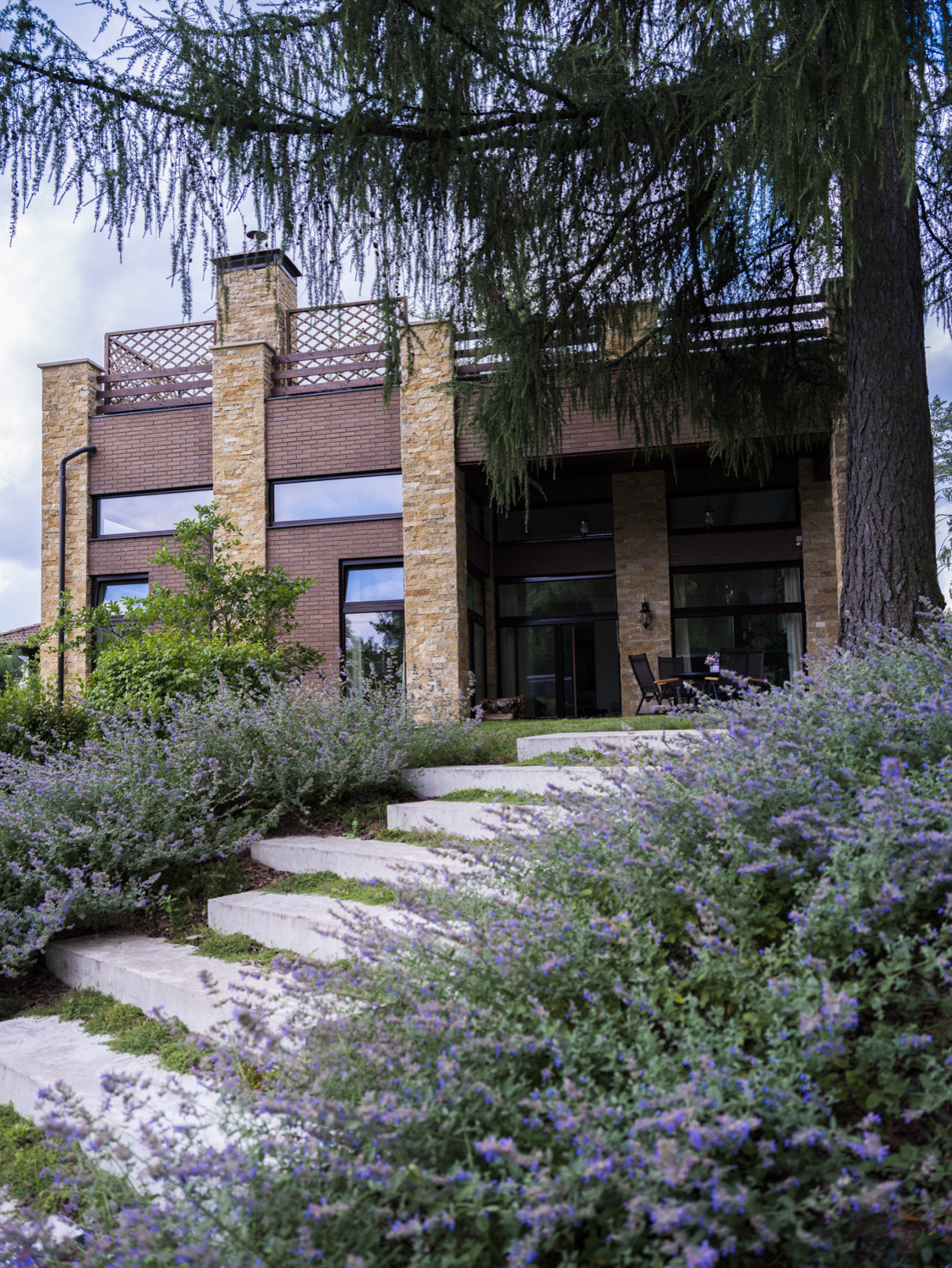 Фоновое изображение профиля Olga Davydova