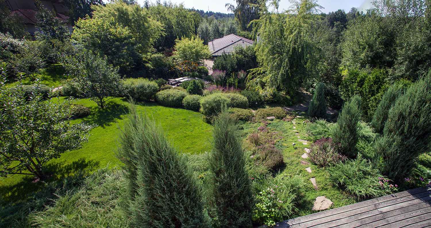 Garden of Elena Astashkina in Moscow Region