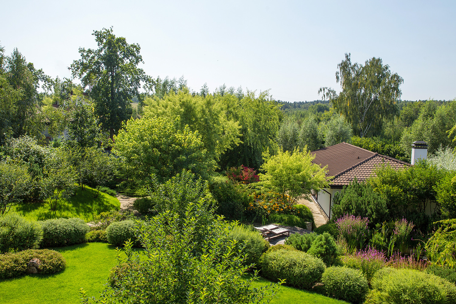 Garden of Elena Astashkina in Moscow Region