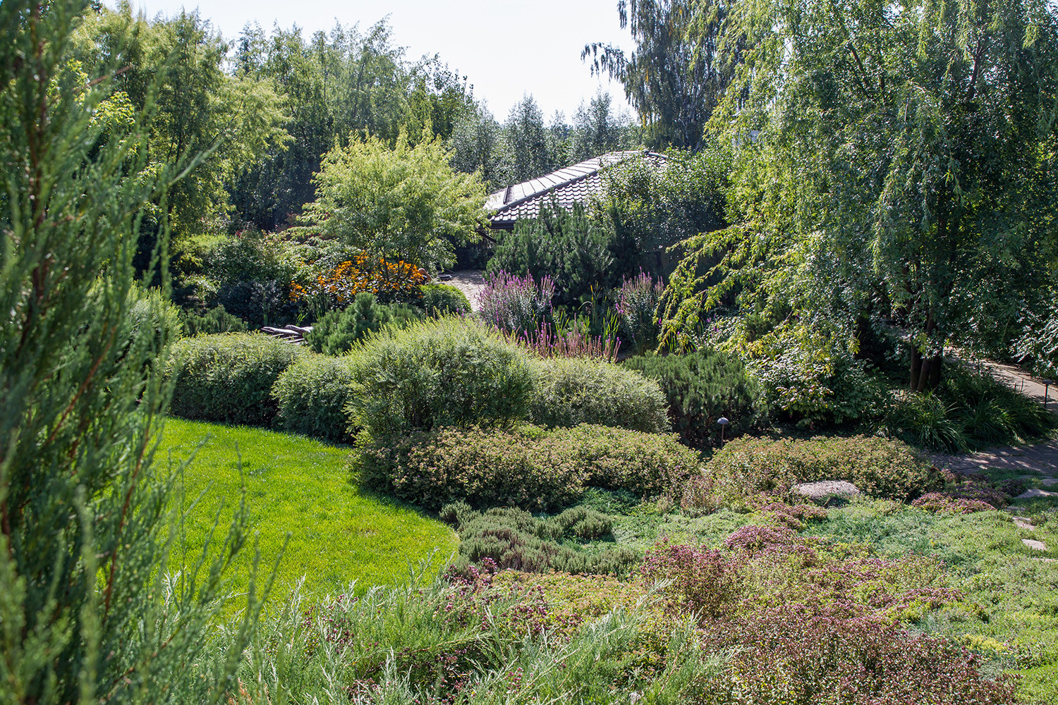 Garden of Elena Astashkina in Moscow Region